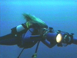 shaded blue  ~  copyright aquamotion