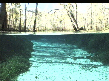 aquamotion ~ all you need to sea...