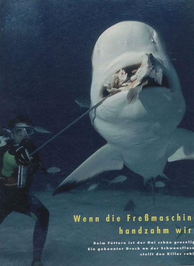 STERN~  MAGAZINE TEARSHEET -  BAHAMAS ~ id# aquawoman EL000a