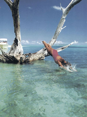 CLASS - MAGAZINE TEARSHEET -  Rock Islands -  Palau, Micronesia, Pacific Ocean ~ id# aquawoman GB012