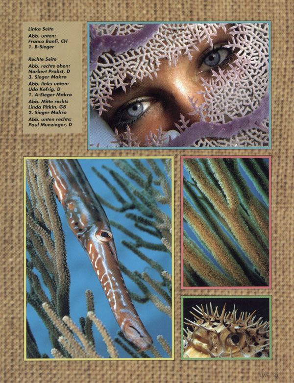 UNTERWASSER - MAGAZINE TEARSHEET -  Cuba ~ id# aquawoman NP002