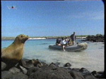 Stefanie Voigt_ Blaue Paradiese_Galapagos episode II