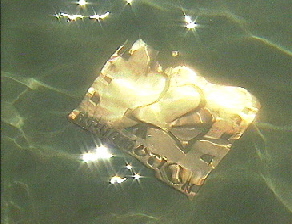 aquamotion ~ all you need to sea...