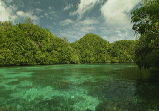 aquamotion_palau_id#SV27ri02