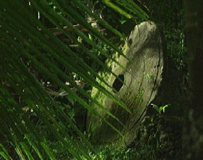 aquamotion_palau_id#SV32SM