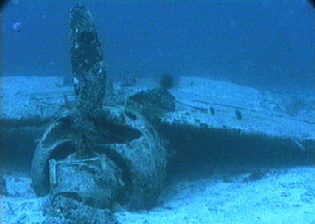 aquamotion_palau_id#SV38zerofighter