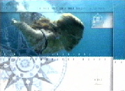 aquawoman ~ BLAUE PARADIESE - Galapagos I - Stefanie Voigt - laste episode Feb. 15th 2004 - on VOX TV /Germany ------ CLICK IMAGE TO SEE VIDEO