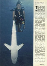 STERN~  MAGAZINE TEARSHEET -  BAHAMAS ~ id# aquawoman EL000