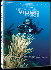 now on DVD: 'UNDERWATER VIDEO BASICS'  -  click here to view the TRAILER