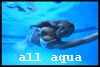 all aqua