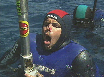 shaded blue  ~  copyright aquamotion