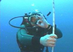 shaded blue  ~  copyright aquamotion