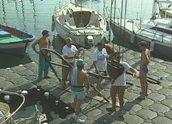 shaded blue  ~  copyright aquamotion