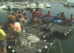 shaded blue  ~  copyright aquamotion