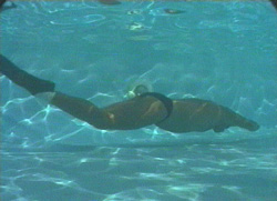 shaded blue  ~  copyright aquamotion