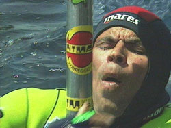 shaded blue  ~  copyright aquamotion